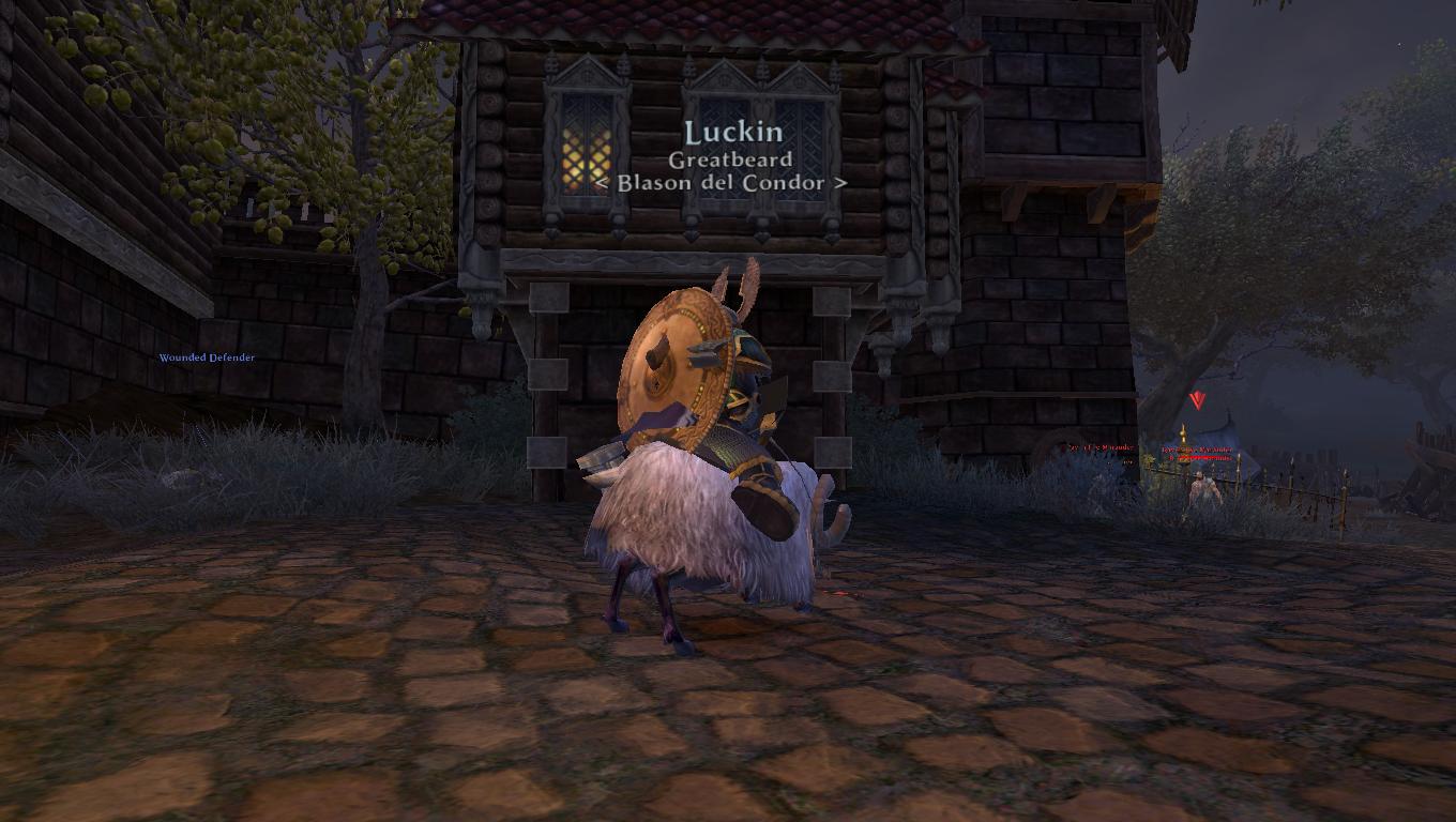 Luckin_060.jpg